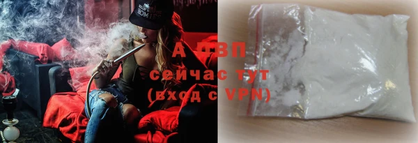 стафф Надым