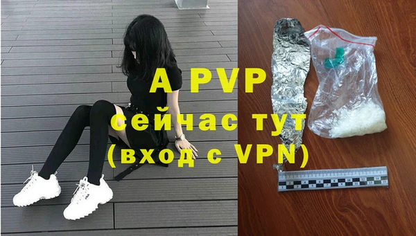 шишки Наволоки