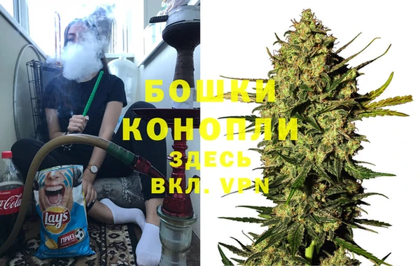 стафф Надым